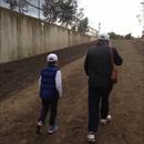 Lachlan and his Grandfather walking home to the stables after trackwork this morning Lachlan and his Grandfather walking home to the stables after trackwork this morning